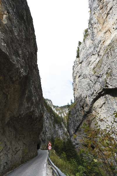 -50% Early Booking Bulgaria 2026